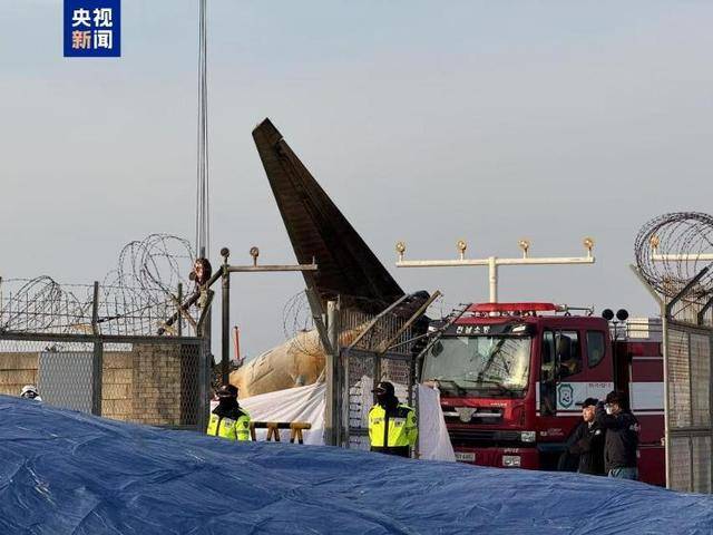仅2人获救 韩客机失事前6分钟详情公布 幸存者失忆：发生了什么？