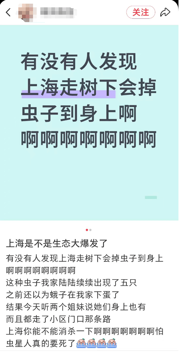 汽车被虫子啃得都是窟窿，“一边咬一边往里钻”！很多人中招