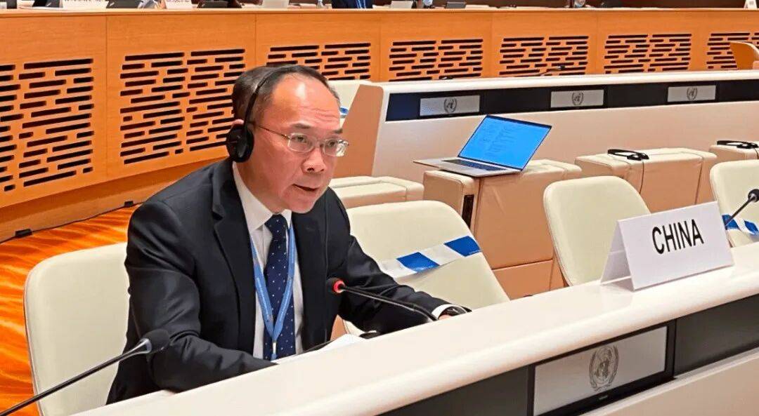 中国、俄罗斯、尼日尔投反对票