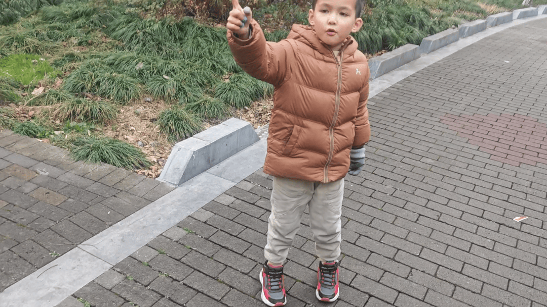 宁波一小区内树木起火，7岁男孩发现后立刻用电话手表报警通知消防员灭火