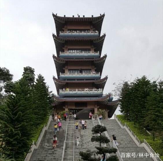 龙阁(龙阁阁主)
