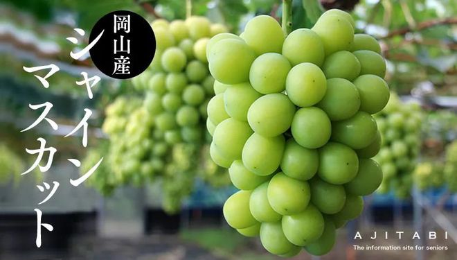 TAB葡萄(tab葡萄交易所官网)