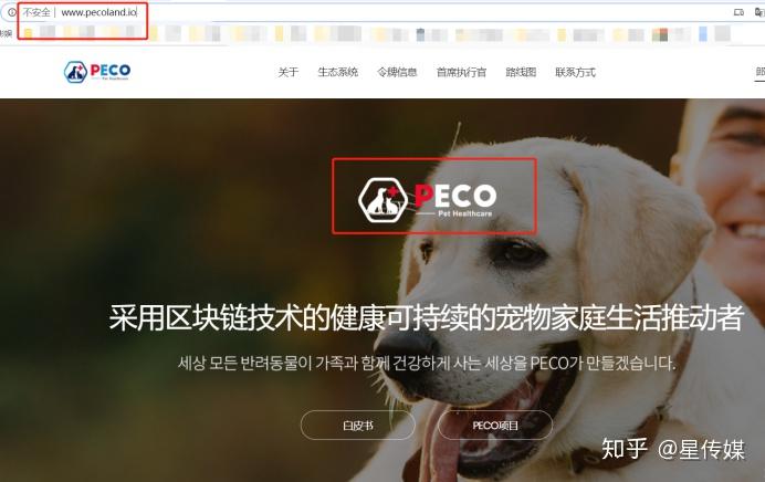 Dcoin(DCOIN骗局)